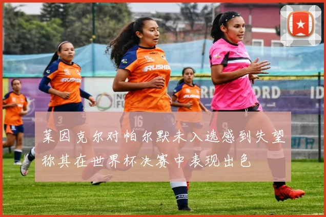 莱因克尔对帕尔默未入选感到失望称其在世界杯决赛中表现出色